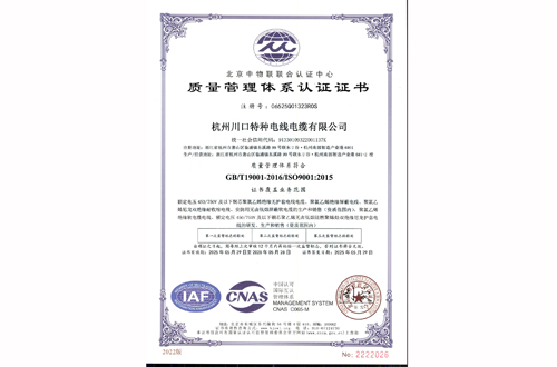 ISO9001质量管理体系认证证书最新版-2025 中